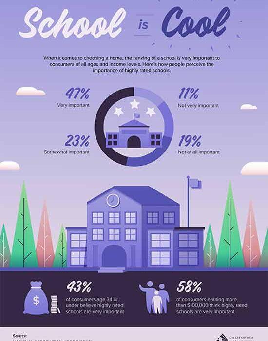Importance of schools infographic