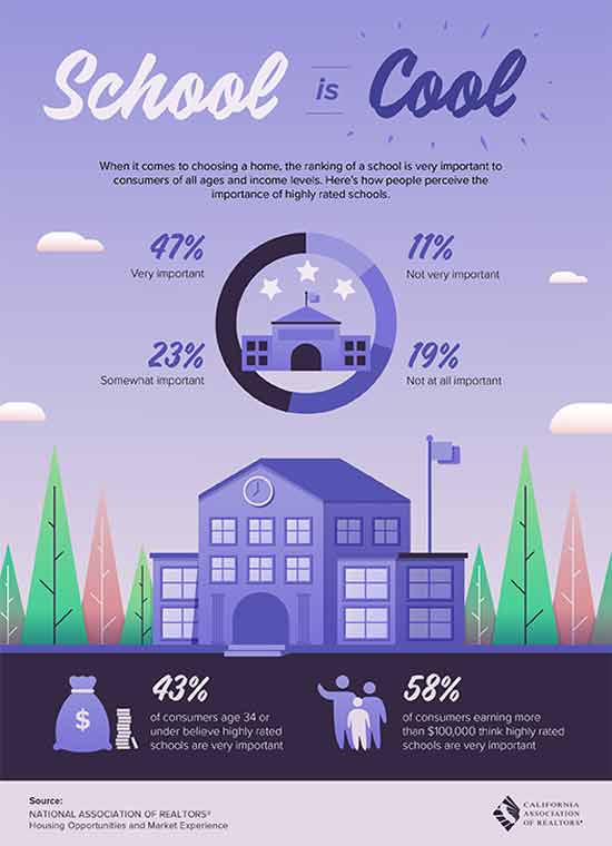 Importance of schools infographic